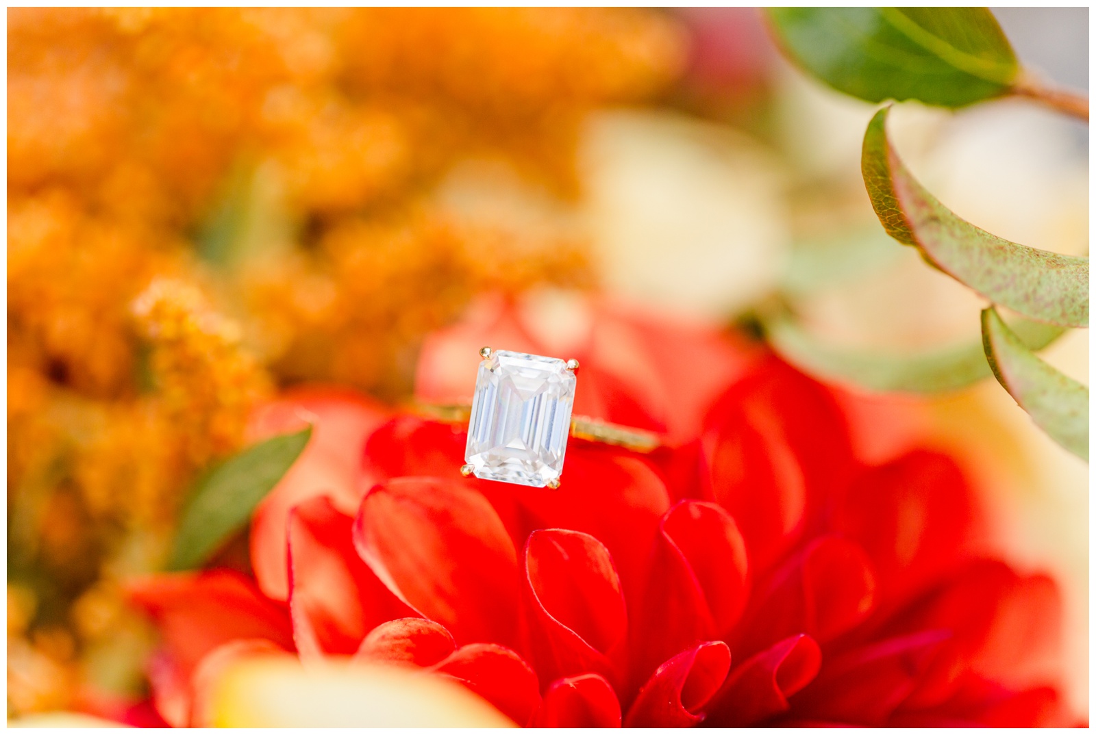 Wedding ring on Dahlia, Seabeck elopement