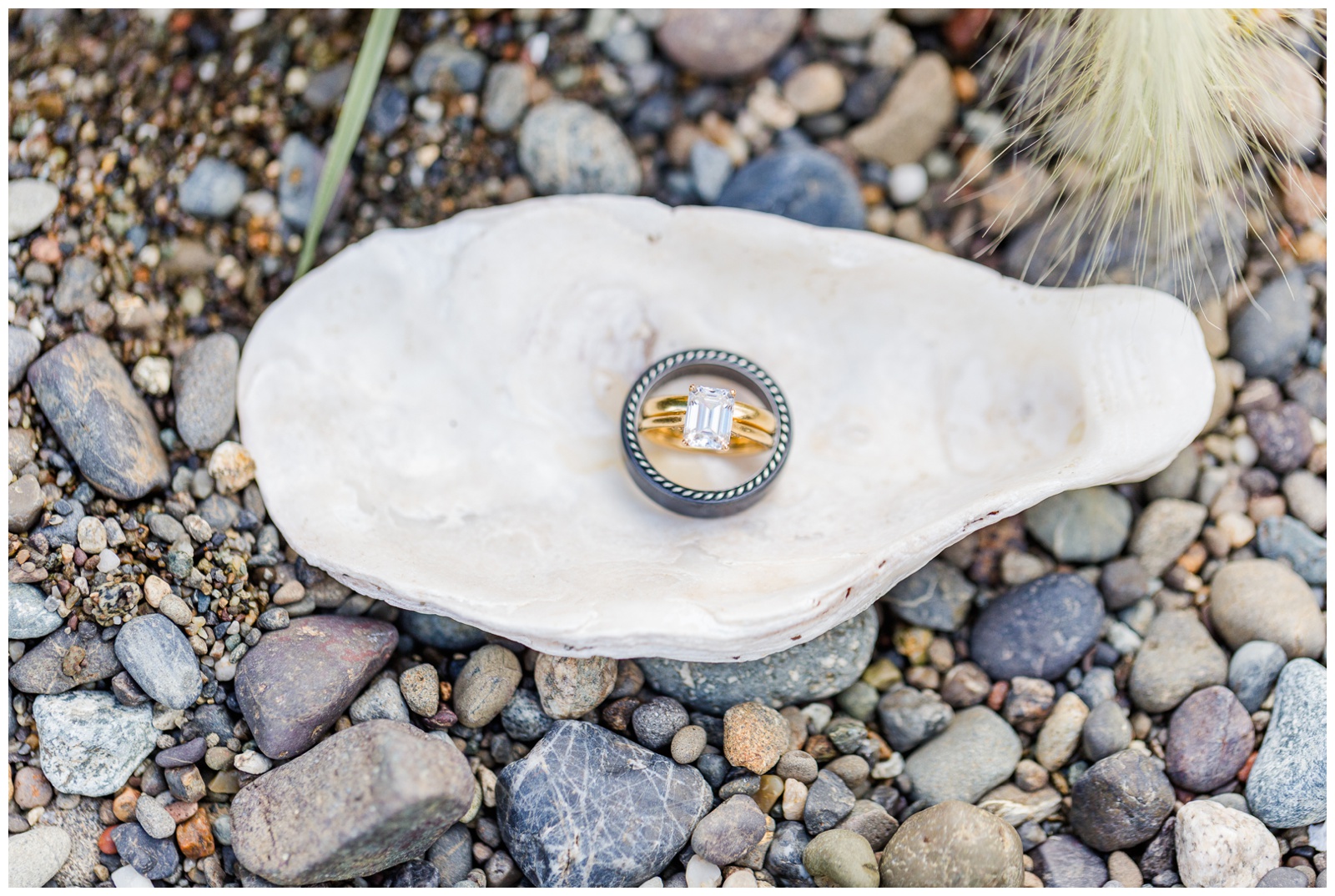 Wedding rings on shell Seabeck elopement